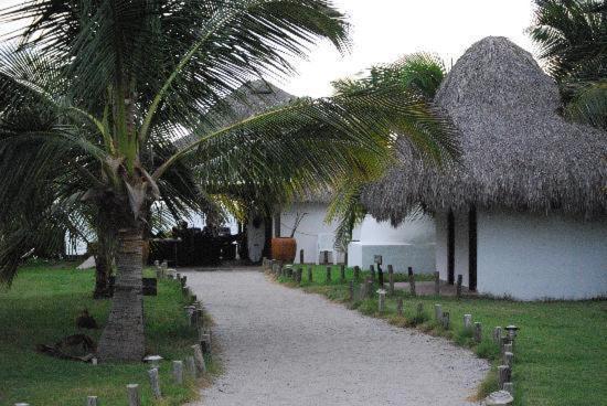 Cardon Adventure Resort Mazatlán Esterno foto